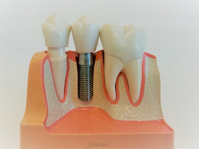 WhatsApp Image 2026-02-09 at 11.44.59 AM (1)