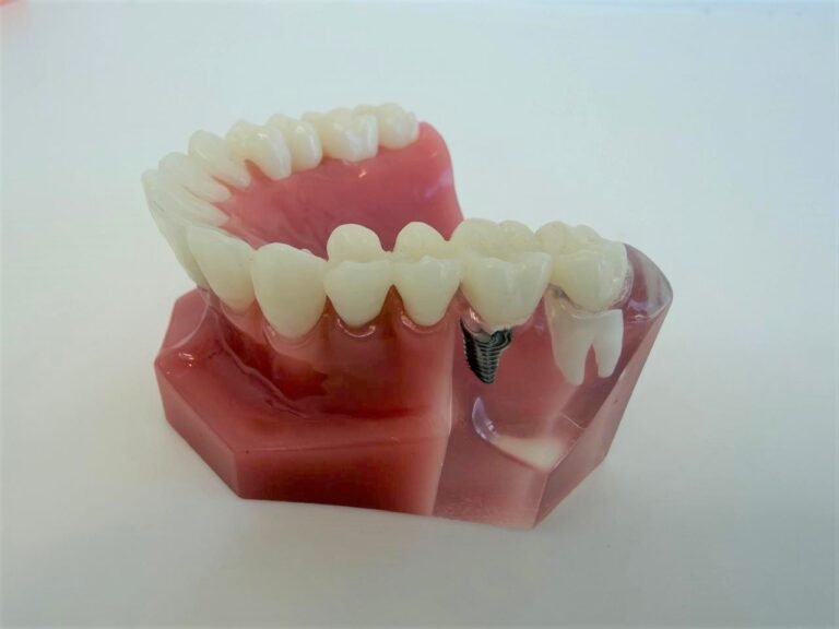 WhatsApp Image 2026-02-09 at 11.44.59 AM